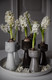 Hyacinth vase/lantern beige small