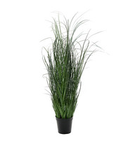 Heinä ruukussa 80cm