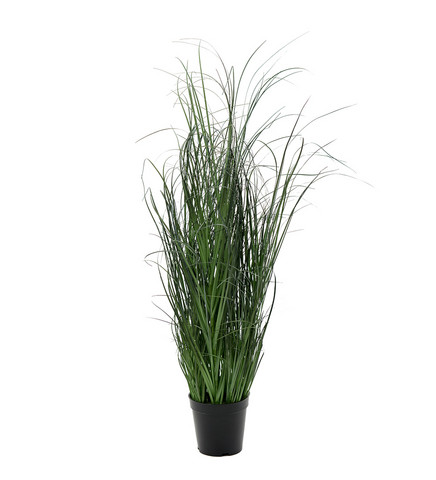 Heinä ruukussa 80cm