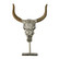 Ornamentti kallo 32cm