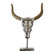 Ornamentti kallo 32cm
