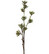 Mehikasvi 75cm