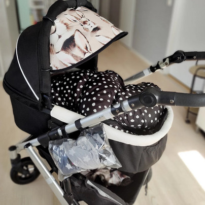 Aurinkolippa haaveita + pioni minttu