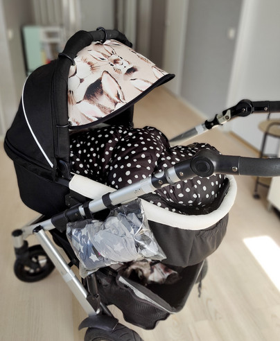Aurinkolippa salainen puutarha + kolibri minttu