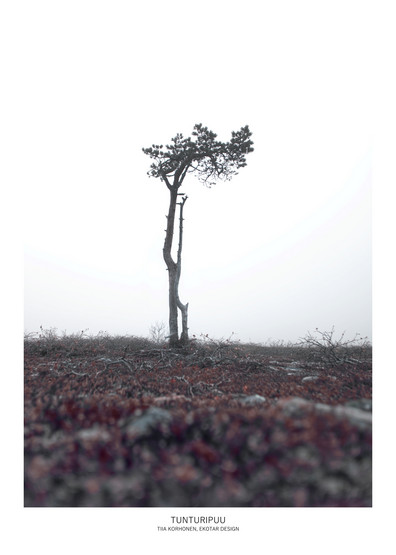 TUNTURIPUU-juliste
