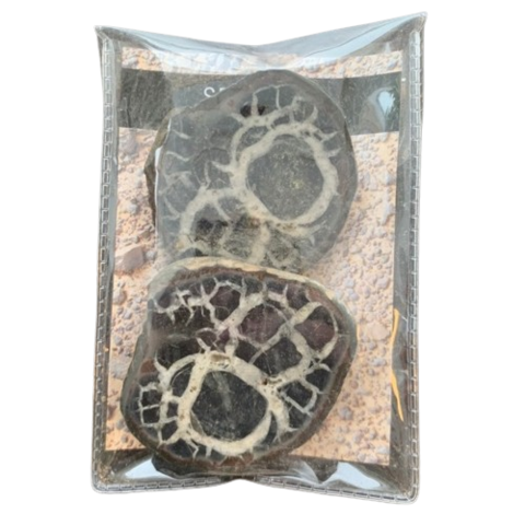 Septaria/Dragon stone M