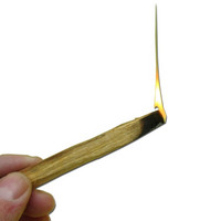 Palo santo tikut