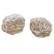 Aavikkoruusu