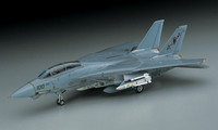 Hasegawa 1/72 F-14A Tomcat (Low Visibility)