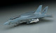 Hasegawa 1/72 F-14A Tomcat (Low Visibility)