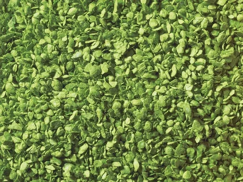 Noch Leaves, Light Green 50g