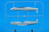 Eduard 1/48 Spitfire Story: Tally Ho! (Limited Edition DUAL COMBO)