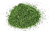 Humbrol Skale Scenics Scatter Material - Dark Green 42g