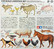 Tamiya 1/35 Livestock Set