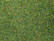 Noch Scatter Material -  “Flower Meadow” 42g