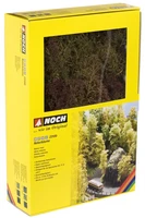 Noch Nature Trees