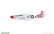 Eduard 1/48 Red Tails & Co. (Limited Edition DUAL COMBO)