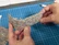 Noch 3D-Cardboard Sheet - Clinker