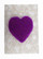 Lumi/violetti