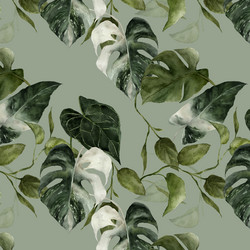 Viherpeukalot-trikoo, vihreä