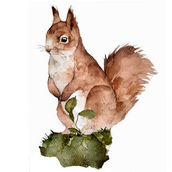 Oravat-silityskuva