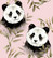 Pandat-trikoo, vaaleanpunainen