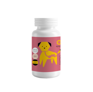Apipet Gastro 120 kapselia
