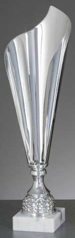 Pokaali FLOW SILVER