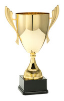 Pokaali CHAMPION