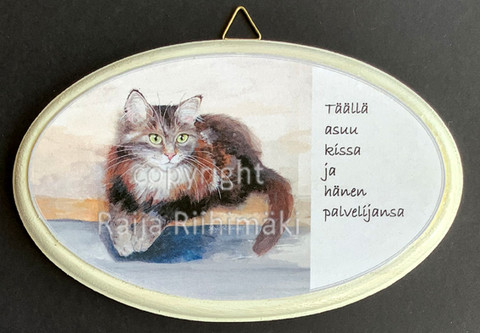 Ovikyltti kissan palvelijat, ruskeankirjava kissa