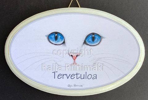 Tervetuloa kyltti, siniset silmät