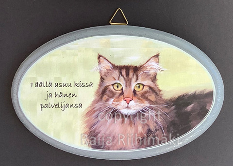 Ovikyltti kissan palvelija, ruskehtava tabby