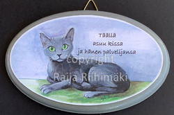 Ovikyltti, harmaa kissa
