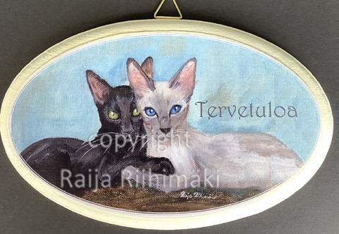 Tervetuloa kyltti