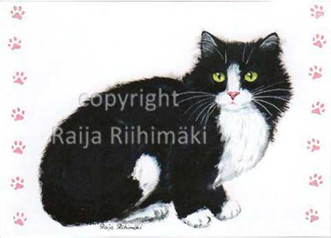 Kissapostikortti  Mustavalkoinen kissa