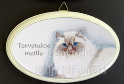 Tervetuloa kyltti