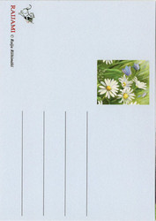 Eläinaiheinen postikortti / Lehmät