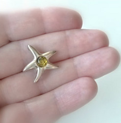 Hopeariipus Meripihka Meritähti