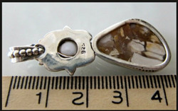 Hopeariipus Mookaite & Helmi