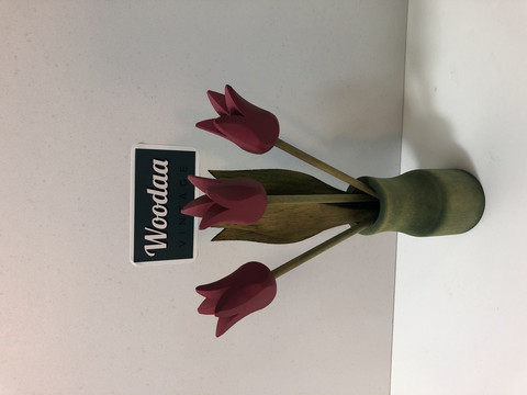 F155 Puutulppaanit lilat