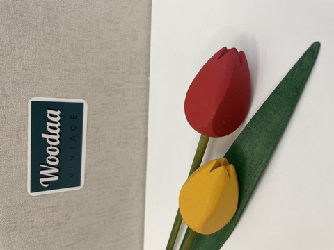 F208 tulips 2pcs