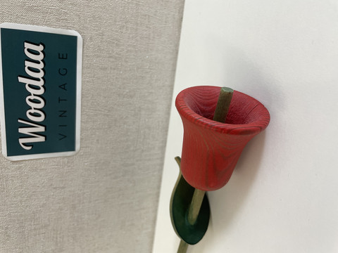 F234 Aarikan punainen tulppaani