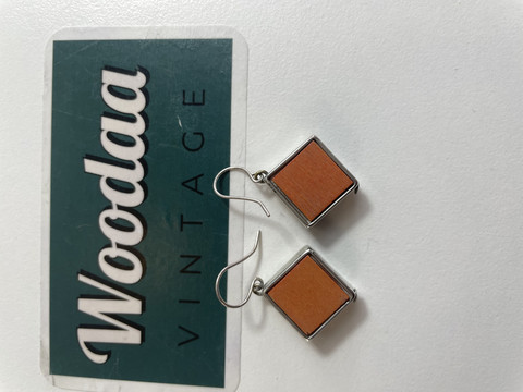 E231 Aarikkas earrings