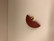 B57 Aarikka brooch red crescent