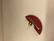 B57 Aarikka brooch red crescent