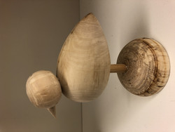 2. Seagull from birch