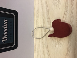 C27 Aarikan Mummon lintu