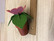 F58 Wooden flowes in pot