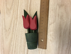 F66 Tulppaanit pinkit, Puutu