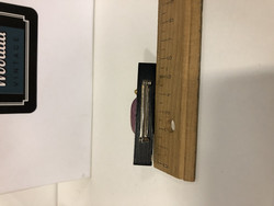 B164 Aarikkas bug brooch